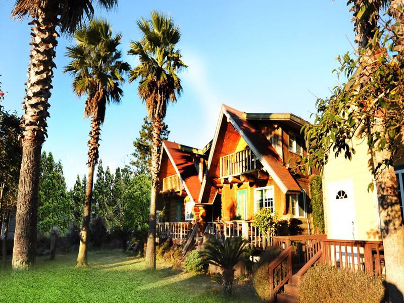 Jeju Log Village Pension 西归浦市 外观 照片